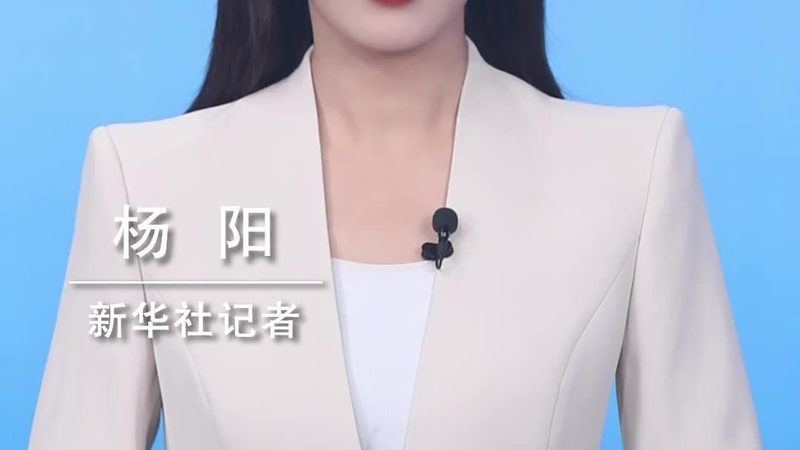 SaaS平台定制开发成本的关键影响因素